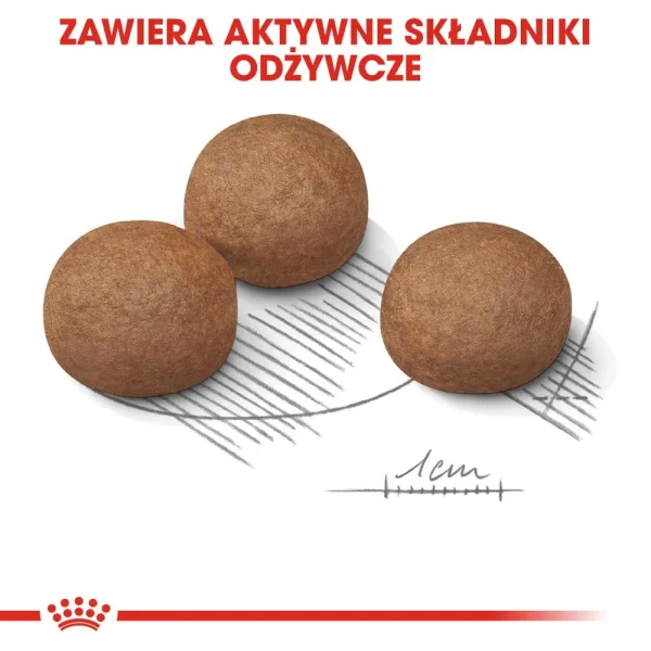Karma sucha Royal Canin Digestive Care Maxi dla dużych ras 3 kg — widok 5