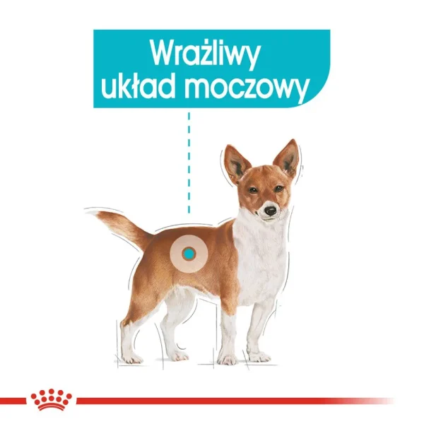 Karma mokra Royal Canin Urinary Care pasztet dla dorosłych psów 12x85 g — widok 5