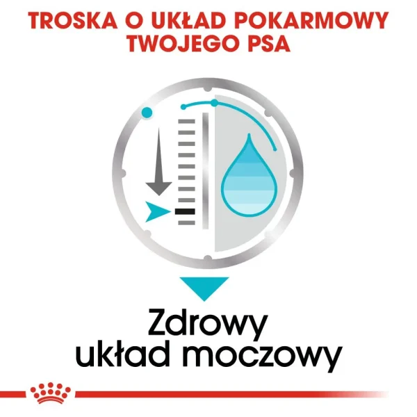 Karma mokra Royal Canin Urinary Care pasztet dla dorosłych psów 12x85 g — widok 7