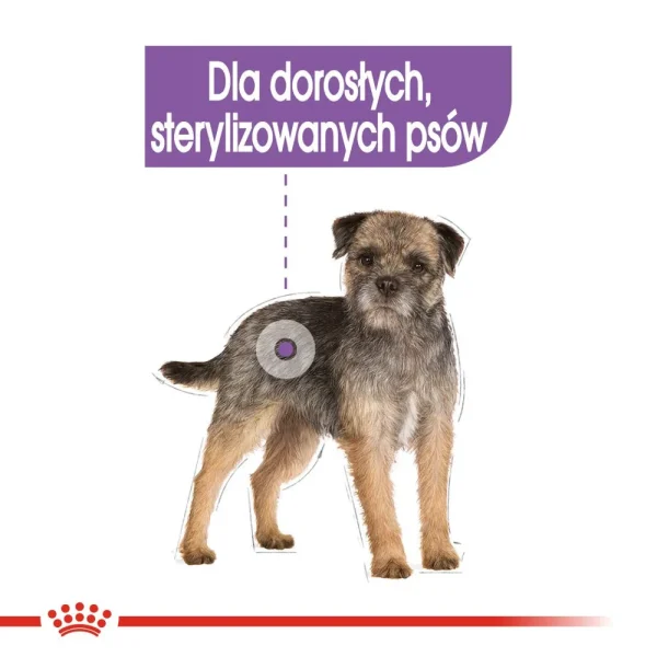 Karma mokra Royal Canin Sterilised Mini Pasztet dla sterylizowanych psów małych ras 12x85 — widok 5