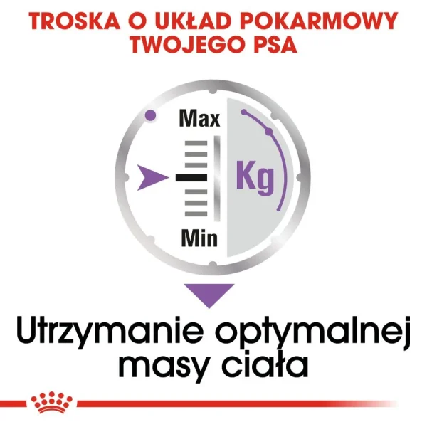 Karma mokra Royal Canin Sterilised Mini Pasztet dla sterylizowanych psów małych ras 12x85 — widok 8