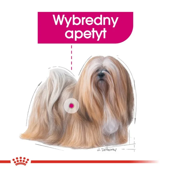 Karma mokra Royal Canin Exigent Pasztet dla psów wszystkich ras 12x85 g — widok 7