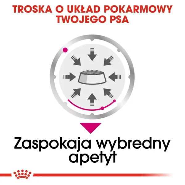 Karma mokra Royal Canin Exigent Pasztet dla psów wszystkich ras 12x85 g — widok 9
