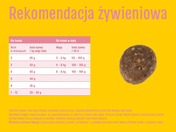 Karma sucha Josera JosiCat Kitten dla kociąt Drób 10 kg — widok 10