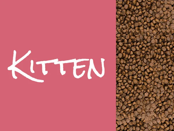 Karma sucha Josera JosiCat Kitten dla kociąt Drób 10 kg — widok 6
