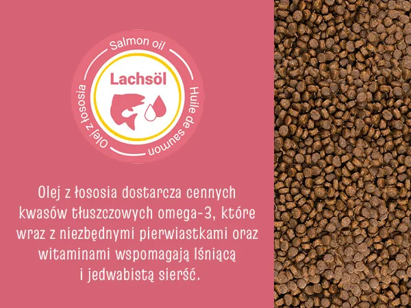 Karma sucha Josera JosiCat Kitten dla kociąt Drób 10 kg — widok 8