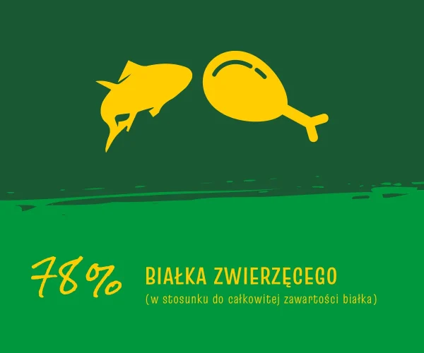 Karma sucha Josera JosiCat Crunchy Chicken dla dorosłych kotów Kurczak 10 kg — widok 3
