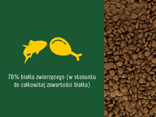 Karma sucha Josera JosiCat Crunchy Chicken dla dorosłych kotów Kurczak 10 kg — widok 6