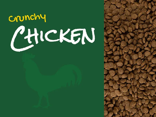 Karma sucha Josera JosiCat Crunchy Chicken dla dorosłych kotów Kurczak 10 kg — widok 9