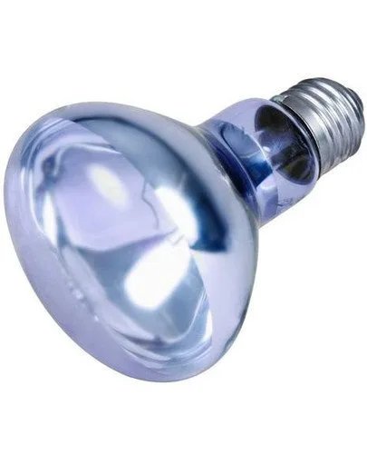 Żarówka grzewcza Trixie Neodymowa 75W