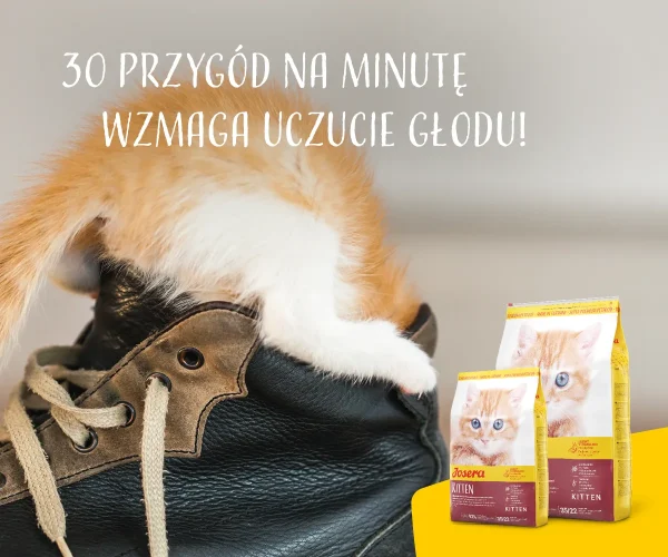 Karma sucha Josera Kitten dla kociąt 10 kg — widok 9