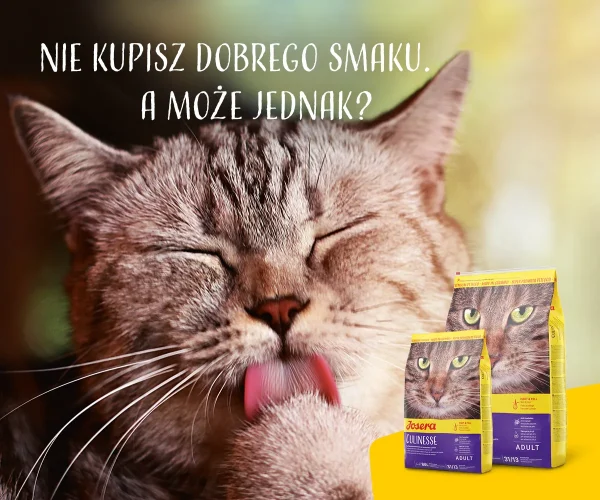 Karma sucha Josera Culinesse dla dorosłych kotów Drób i łosoś 10 kg — widok 7