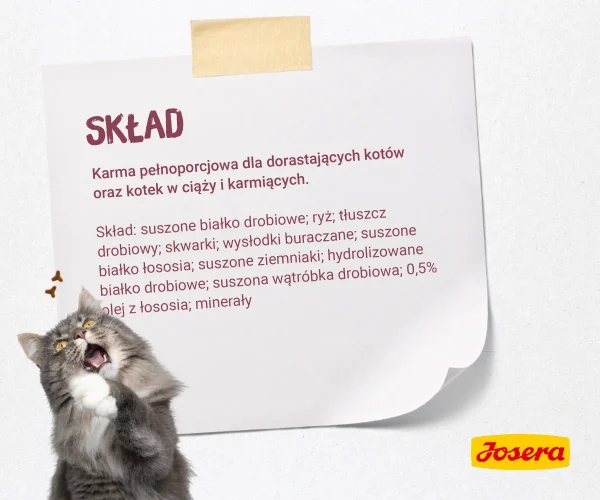 Karma sucha Josera Minette Kitten dla kociąt 2 kg — widok 3