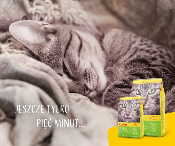 Karma sucha Josera SensiCat dla kota z wrażliwym układem trawiennym 2 kg — widok 9