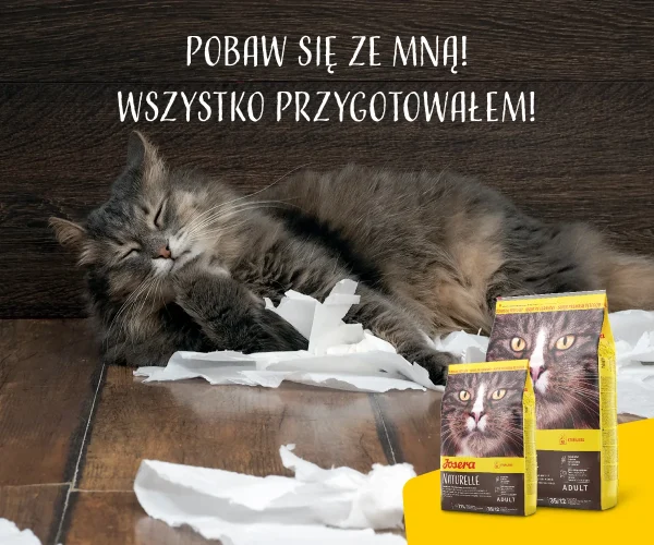 Karma sucha Josera Naturelle dla dorosłych kotów sterylizowanych Pstrąg 400 g — widok 9