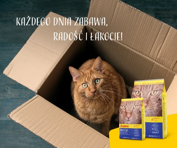Karma sucha Josera Daily Cat dla dorosłych kotów 2 kg — widok 9