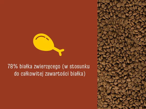 Karma sucha Josera JosiCat Tasty Beef dla dorosłych kotów Wołowina 18 kg — widok 9