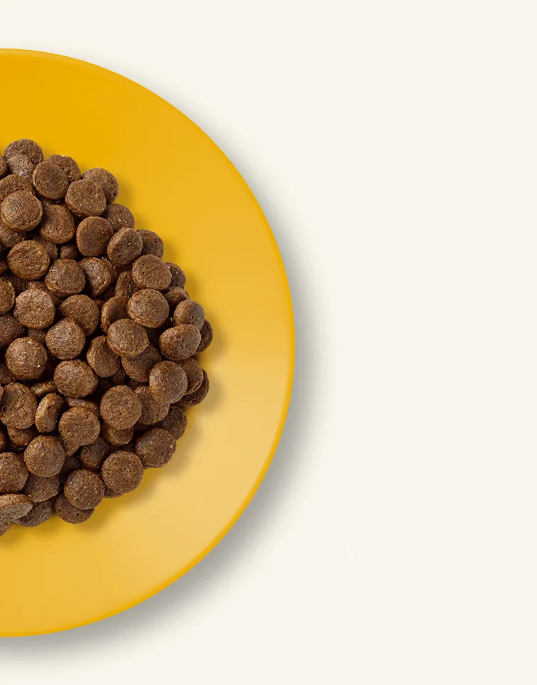 Karma sucha Applaws Complete Dry Adult dla dorosłych kotów Kurczak 2 kg — widok 2