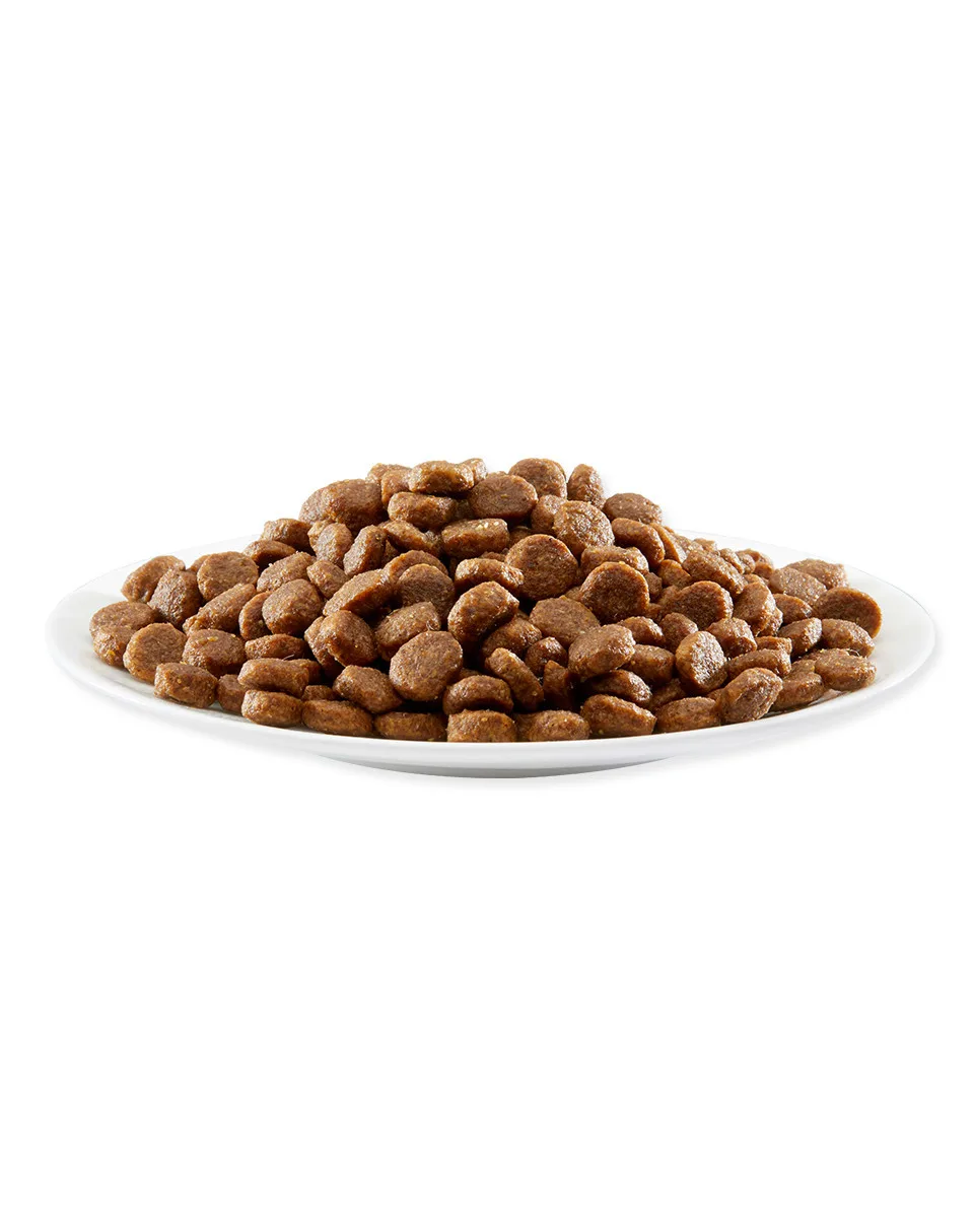 Karma sucha Applaws Complete Dry Adult dla dorosłych kotów Kurczak 2 kg — widok 3