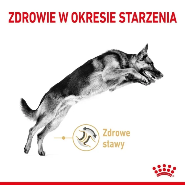 Karma sucha Royal Canin German Shepherd Adult 5+ dla owczarka niemieckiego 12 kg — widok 3