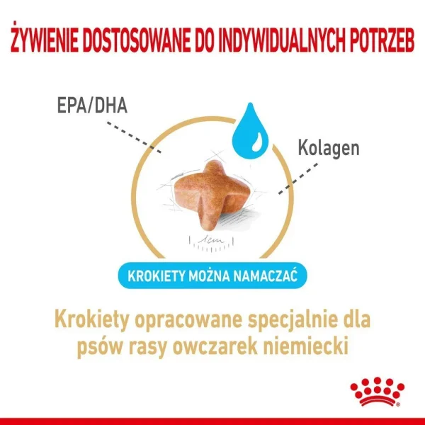 Karma sucha Royal Canin German Shepherd Adult 5+ dla owczarka niemieckiego 12 kg — widok 4
