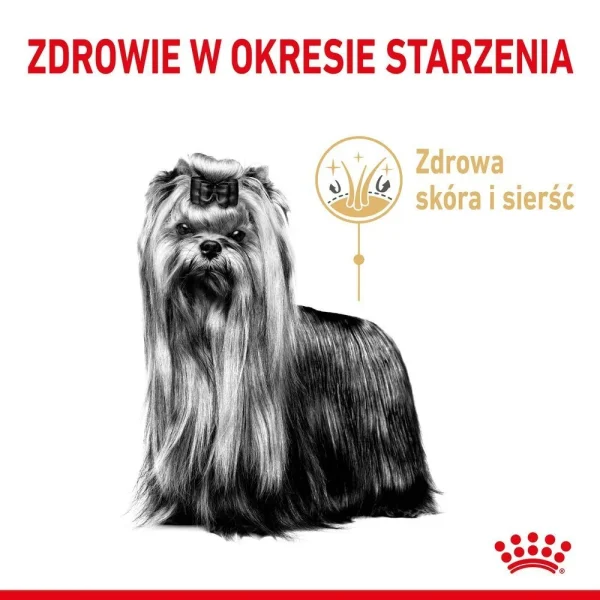Karma sucha Royal Canin Yorkshire Terrier Adult 8+ dla psów rasy Yorkshire Terrier 3 kg — widok 3