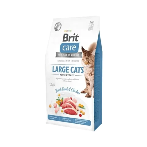 Karma sucha Brit Care Grain-Free Large Cats Power & Vitality z kaczką i kurczakiem 2 kg