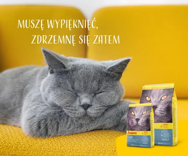 Karma sucha Josera Leger dla dorosłych kotów po kastracji i z nadwagą 400 g — widok 9