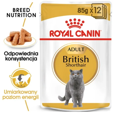 Karma mokra Royal Canin British Shorthair Adult 12x85 g