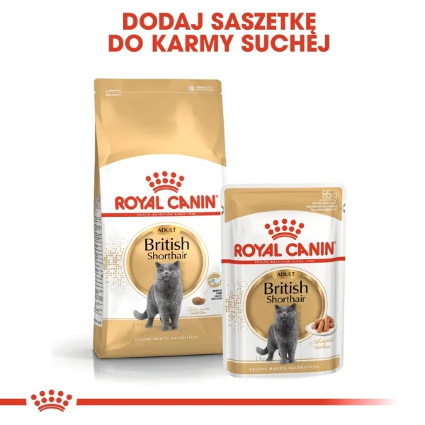 Karma mokra Royal Canin British Shorthair Adult 12x85 g — widok 6