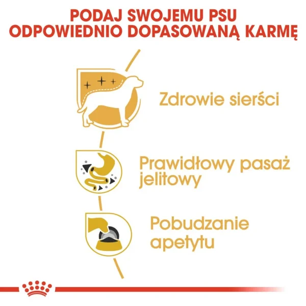 Karma mokra Royal Canin Chihuahua Adult dla psów małych ras 12x85 g — widok 5