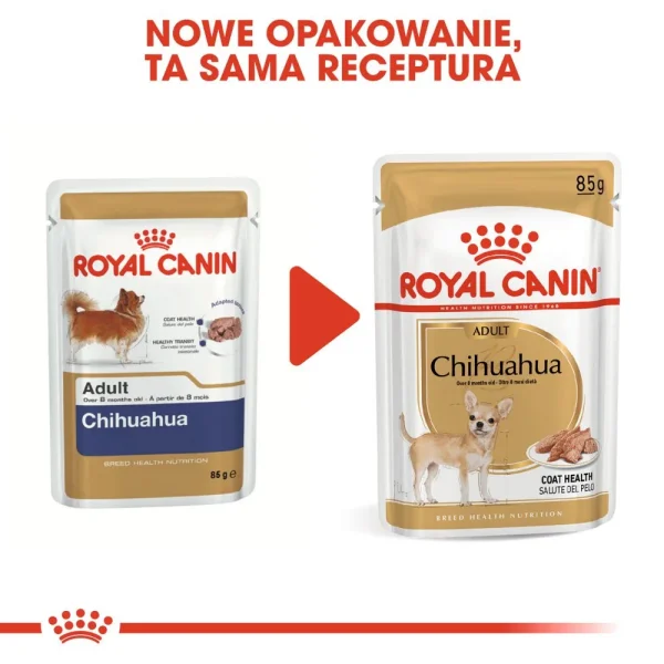 Karma mokra Royal Canin Chihuahua Adult dla psów małych ras 12x85 g — widok 8