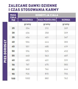 Karma sucha Royal Canin Adult Large Dog dla dorosłych psów dużych ras 13 kg — widok 3