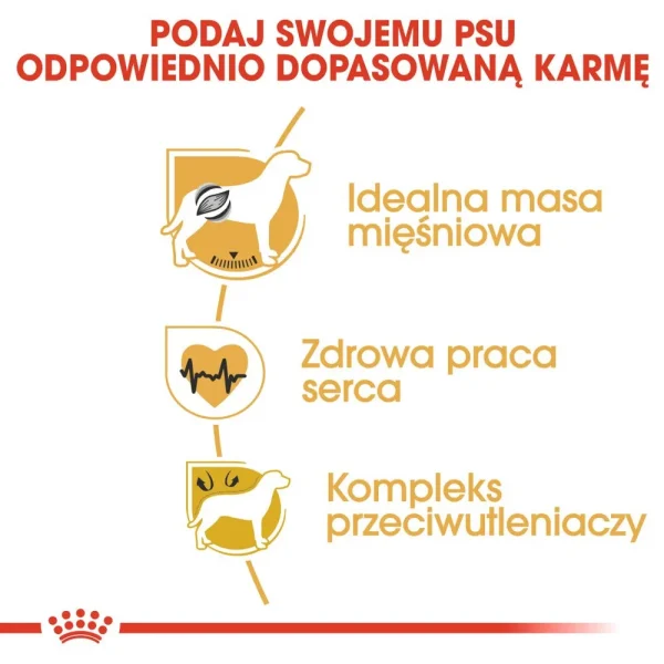 Karma sucha Royal Canin Boxer Adult dla dorosłych bokserów 12 kg — widok 12