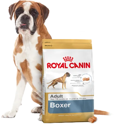 Karma sucha Royal Canin Boxer Adult dla dorosłych bokserów 12 kg — widok 5