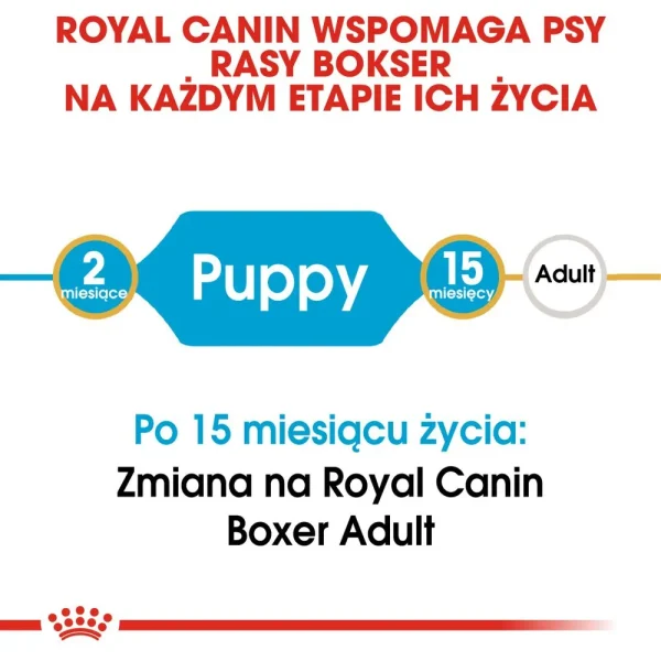 Karma sucha Royal Canin Boxer Puppy dla szczeniąt rasy Boxer 12 kg — widok 2