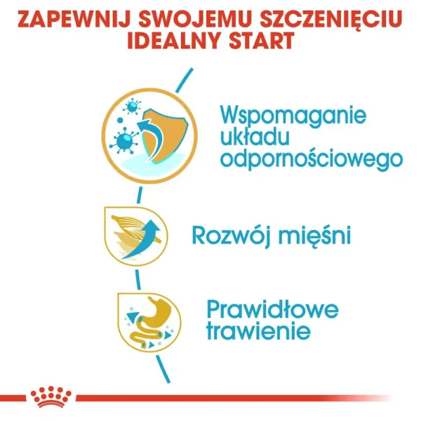 Karma sucha Royal Canin Boxer Puppy dla szczeniąt rasy Boxer 12 kg — widok 4