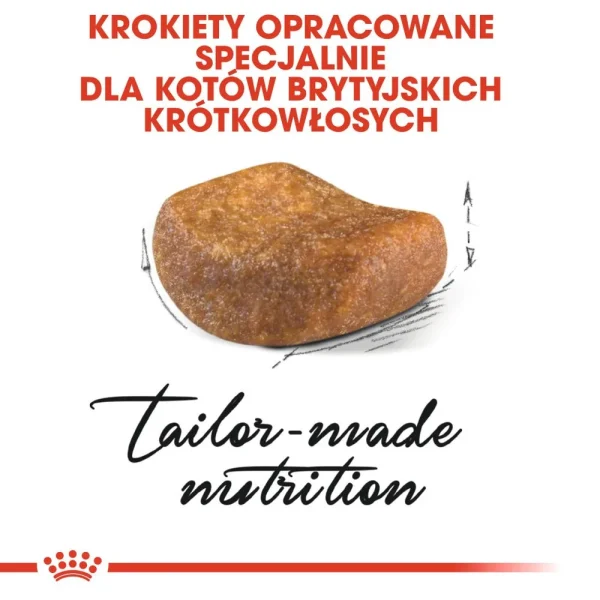 Karma sucha Royal Canin British Shorthair Adult dla kota brytyjskiego krótkowłosego 400 g — widok 3