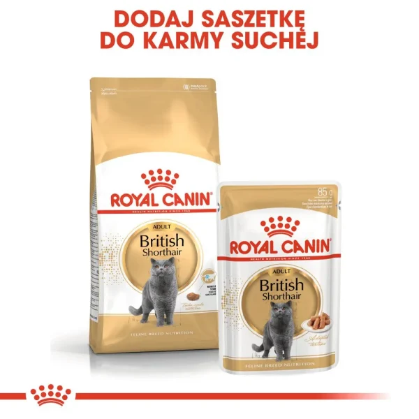 Karma sucha Royal Canin British Shorthair Adult dla kota brytyjskiego krótkowłosego 400 g — widok 5