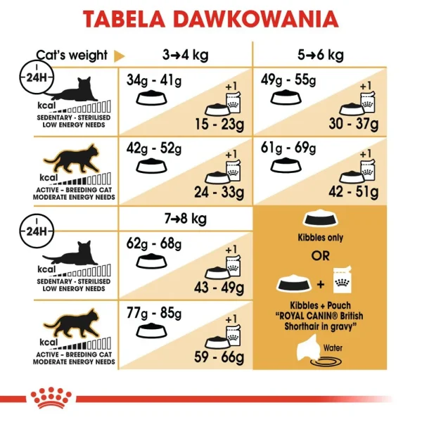 Karma sucha Royal Canin British Shorthair Adult dla kota brytyjskiego krótkowłosego 400 g — widok 6