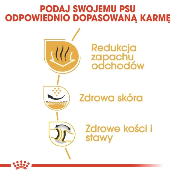 Karma sucha Royal Canin Bulldog Adult dla dorosłych buldogów 12 kg — widok 4