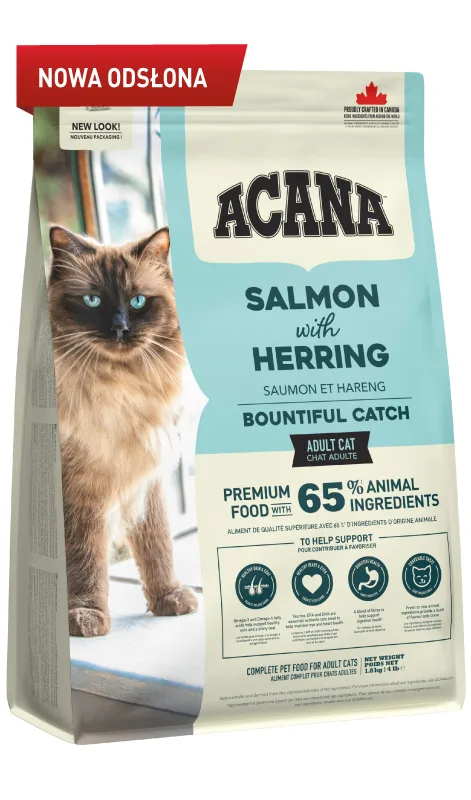 Karma sucha Acana Acana Bountiful Catch Cat łosoś, śledź, morszczuk, pstrąg