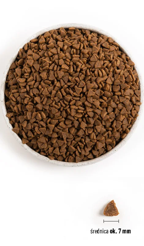 Karma sucha Acana First Feast Cat dla kociąt Kurczak, śledź i indyk 1,8 kg — widok 4