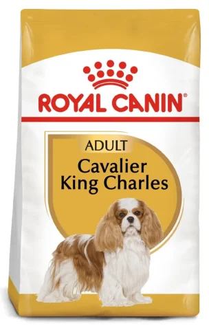 Karma sucha Royal Canin Cavalier King Charles Spaniel Adult dla małych ras 1,5 kg