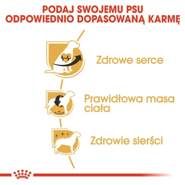 Karma sucha Royal Canin Cavalier King Charles Spaniel Adult dla małych ras 1,5 kg — widok 5