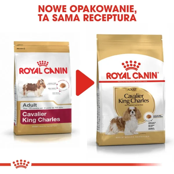 Karma sucha Royal Canin Cavalier King Charles Spaniel Adult dla małych ras 1,5 kg — widok 8