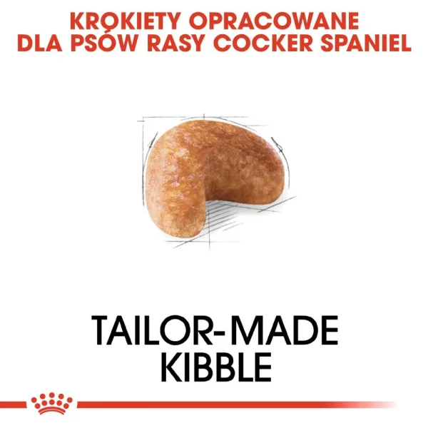 Karma sucha Royal Canin Cocker Spaniel Adult dla dorosłych cocker spanieli 12 kg — widok 3