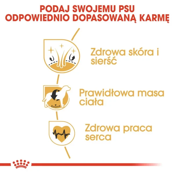 Karma sucha Royal Canin Cocker Spaniel Adult dla dorosłych cocker spanieli 12 kg — widok 4