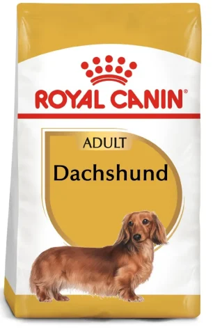 Karma sucha Royal Canin Dachshund Adult dla dorosłych jamników 7,5 kg