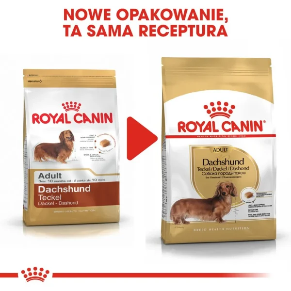 Karma sucha Royal Canin Dachshund Adult dla dorosłych jamników 7,5 kg — widok 8